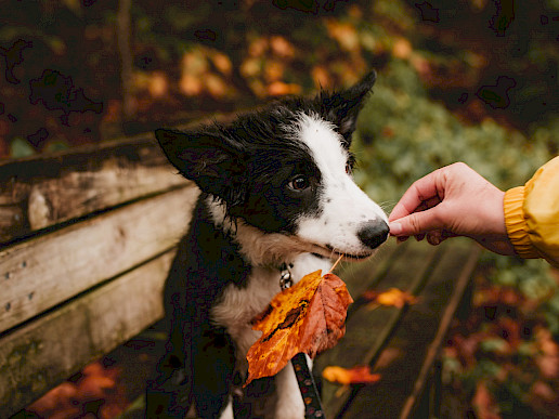 Small Gestures of Love